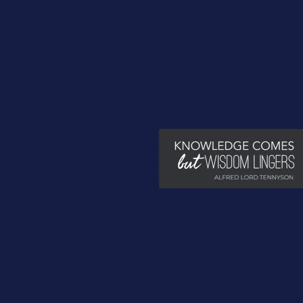 Knowledge Comes From Lingering Quote