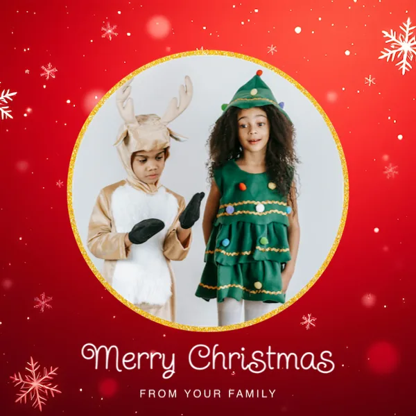 Merry Christmas From Your Family Post